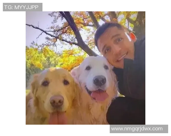 足球巨星们的爱犬揭秘他们与宠物之间温暖陪伴的故事